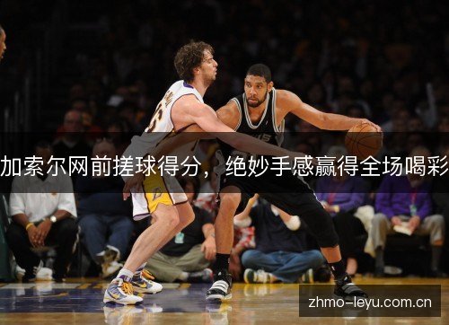 加索尔网前搓球得分,绝妙手感赢得全场喝彩 加索尔网前搓球得分,绝妙手感赢得全场喝彩